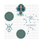 Aquarius UVDTF Lid Decal